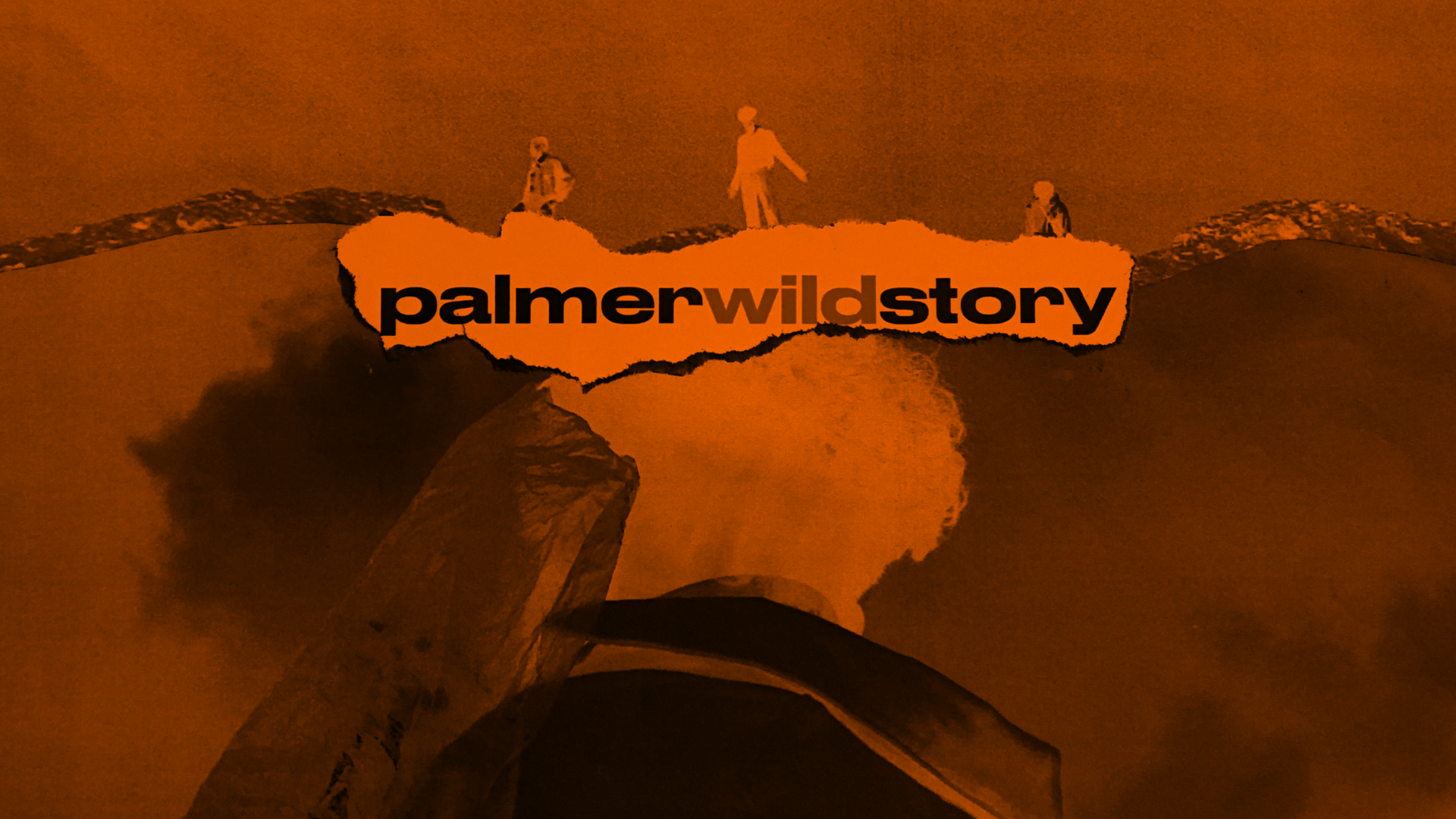Palmer Wild Story